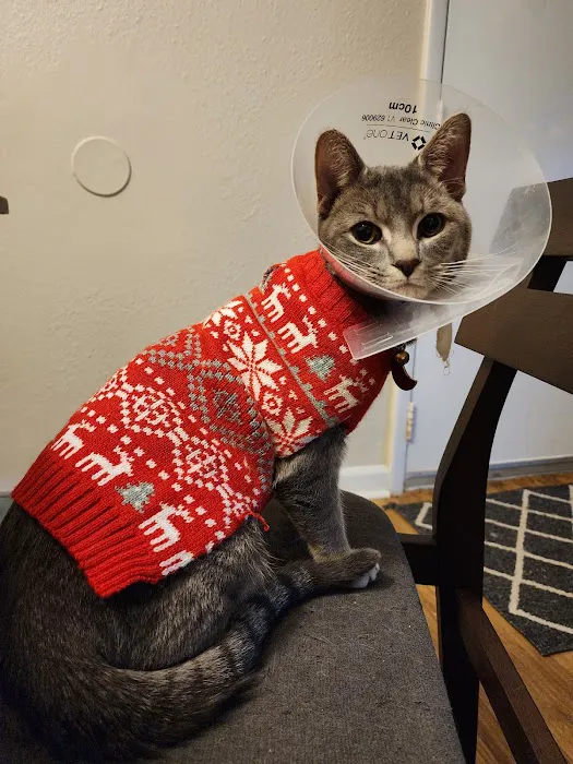 Spay Neuter Vets 12