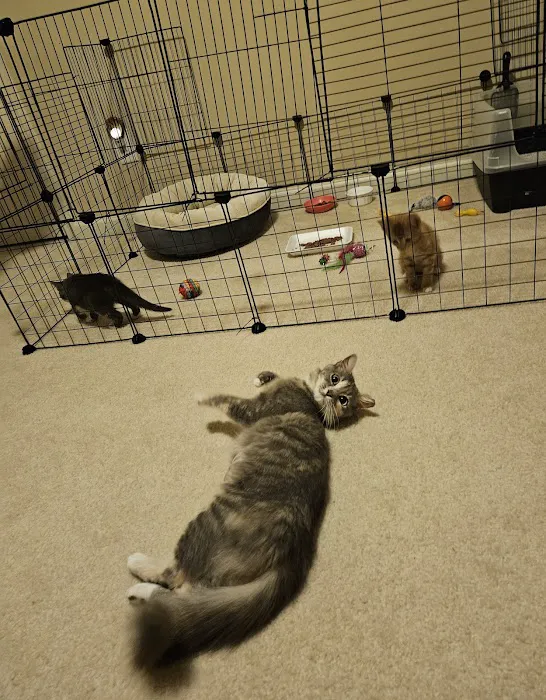 Spay Neuter Vets 12