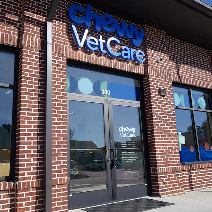 Chewy Vet Care Halcyon 4