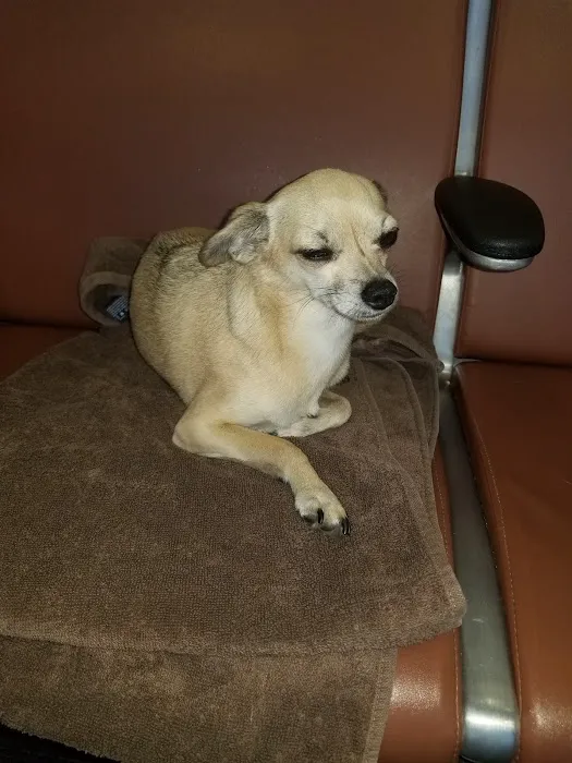 Griffin's Animal Hospital 5
