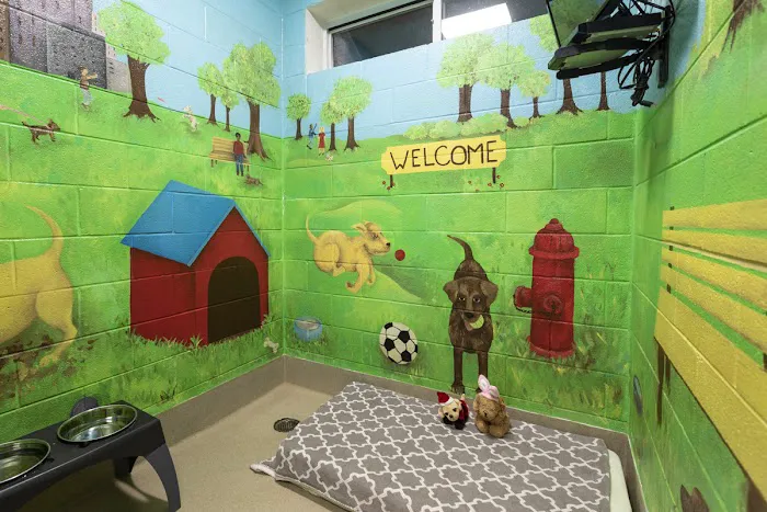 Cleveland Park Animal Hospital Simpsonville 7
