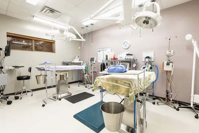 Cleveland Park Animal Hospital Simpsonville 4