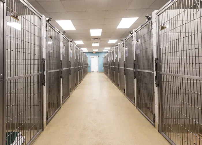 Cleveland Park Animal Hospital Simpsonville 3
