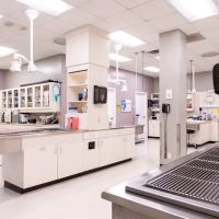 Cleveland Park Animal Hospital Simpsonville ico