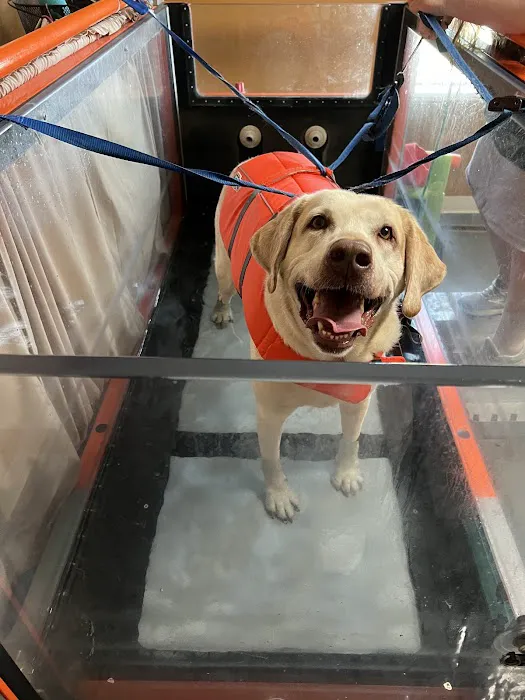 ARCC - Animal Rehab & Conditioning Center 2