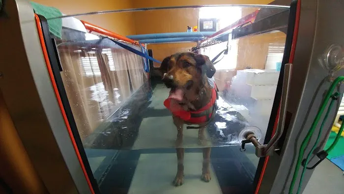 ARCC - Animal Rehab & Conditioning Center 1