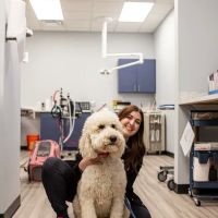 Mauldin Station Vet ico