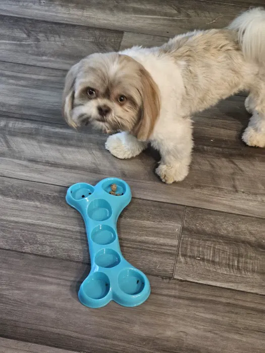 McPhail Animal Hospital 8