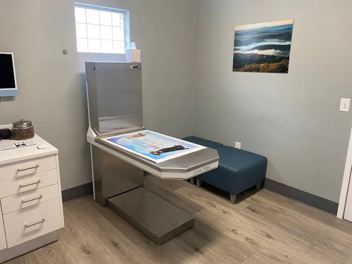 Oasis Animal Hospital & Vet Emergency - Family Vet | Pet Dentistry | Pet Emergency 4