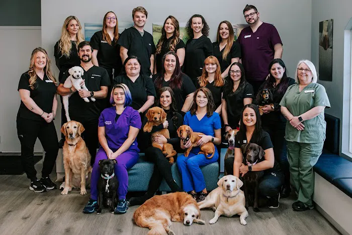 Oasis Animal Hospital & Vet Emergency - Family Vet | Pet Dentistry | Pet Emergency 3