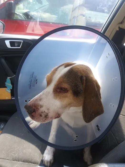 Rocky Creek Veterinary Hospital and Pet Resort 2