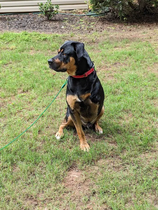 Rocky Creek Veterinary Hospital and Pet Resort 10