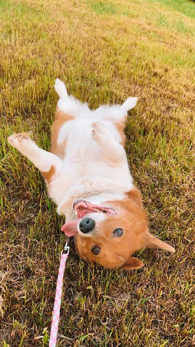 Hillcrest Animal Hospital 6