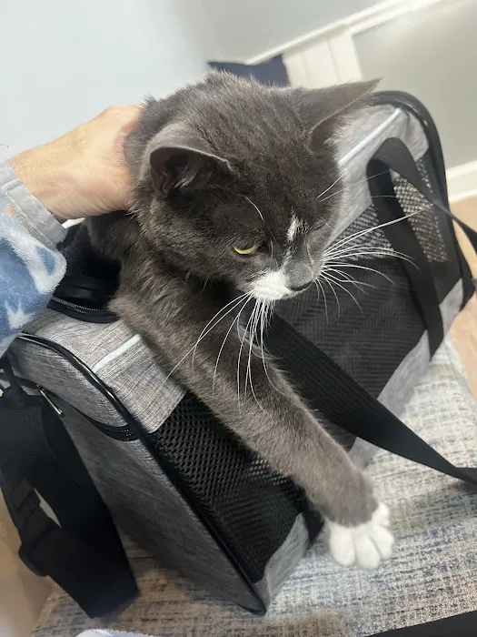Companion Animal Hospital 12