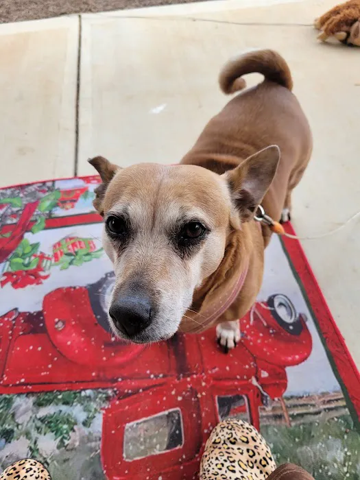 Banfield Pet Hospital 2
