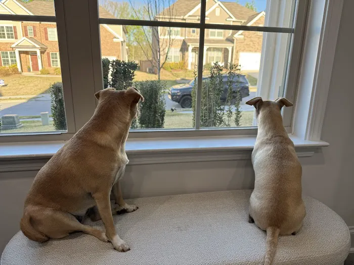 Banfield Pet Hospital 1