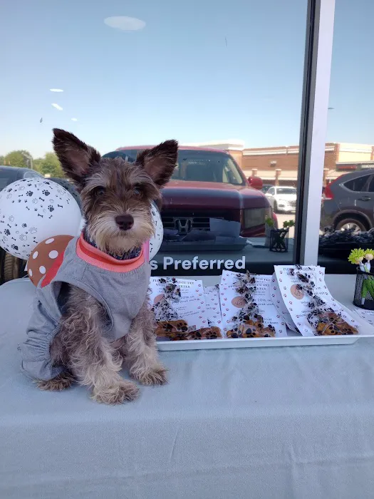 Flowery Branch Pet Wellness Center 12