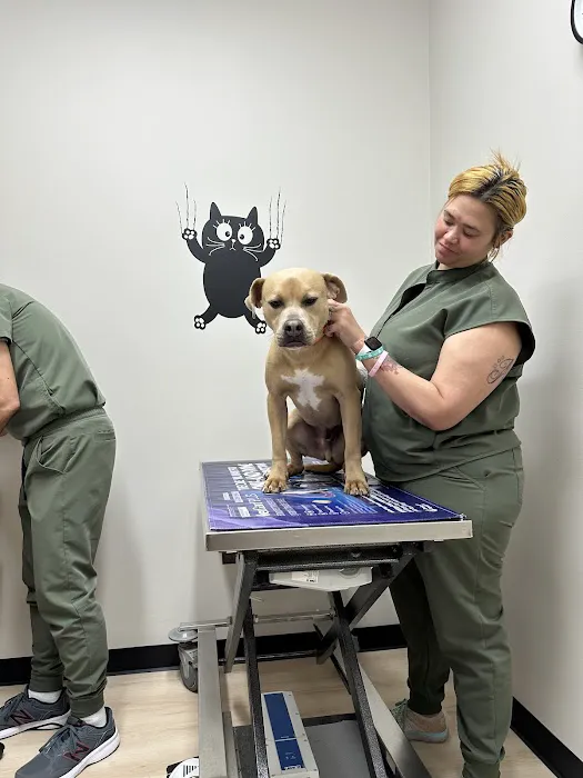 Flowery Branch Pet Wellness Center 12