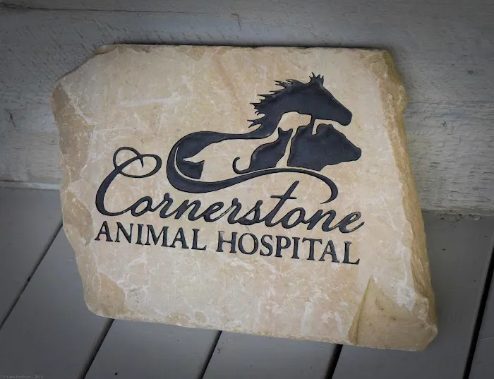 Cornerstone Animal Hospital 12