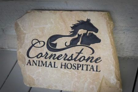 Cornerstone Animal Hospital
