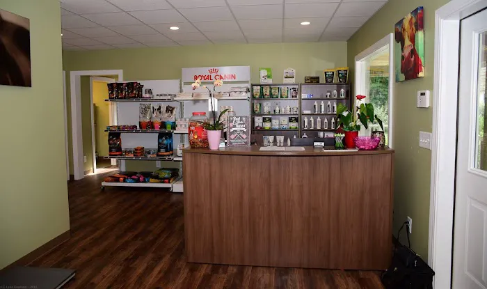 Cornerstone Animal Hospital 12