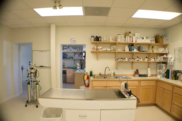 Clarkesville Veterinary Hospital 12