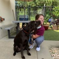 Northeast Veterinary Hospital ico