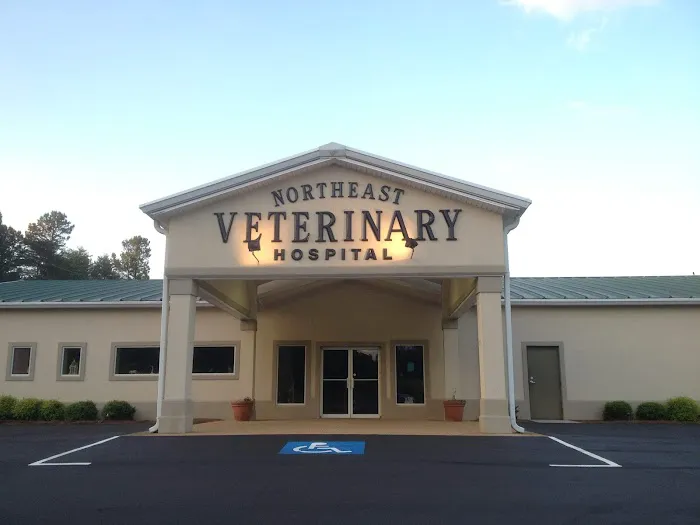 Northeast Veterinary Hospital 12