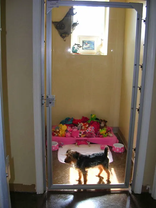 Northeast Veterinary Hospital: Woller, Nicole DVM 12