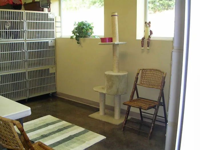 Northeast Veterinary Hospital: Woller, Nicole DVM 12