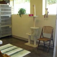 Northeast Veterinary Hospital: Woller, Nicole DVM ico