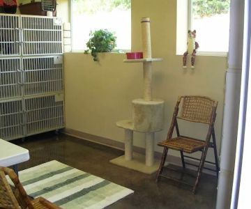 Northeast Veterinary Hospital: Woller, Nicole DVM