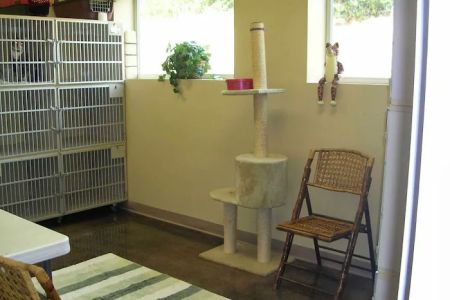 Northeast Veterinary Hospital: Woller, Nicole DVM