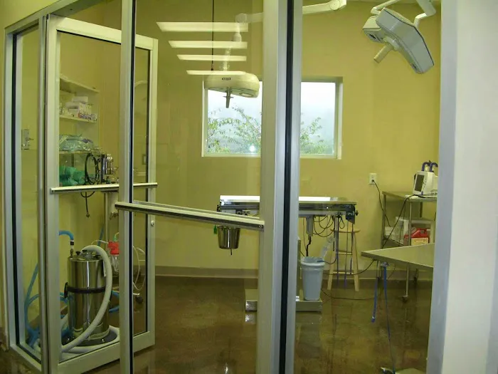 Northeast Veterinary Hospital: Woller, Nicole DVM 12