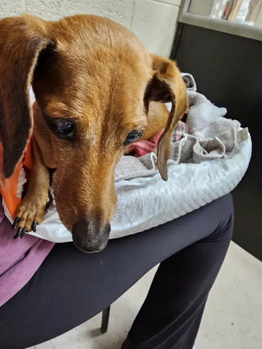 Mill Creek Veterinary Hospital 12