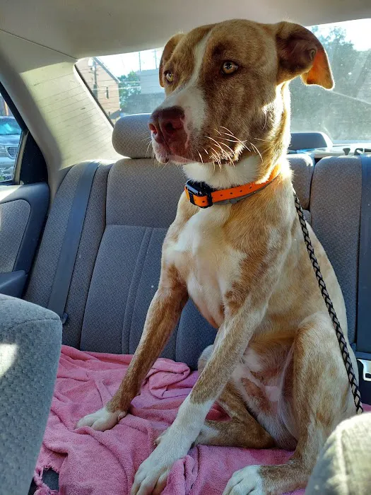 Mill Creek Veterinary Hospital 12