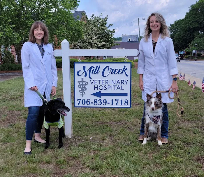 Mill Creek Veterinary Hospital 12