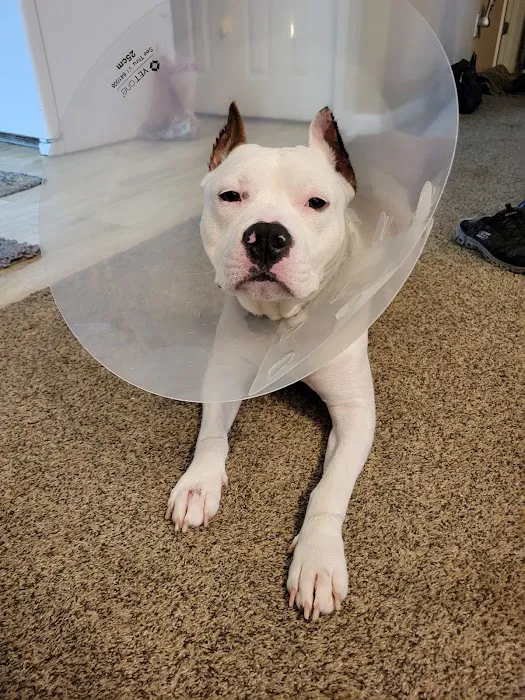Calhoun Pet Care 5