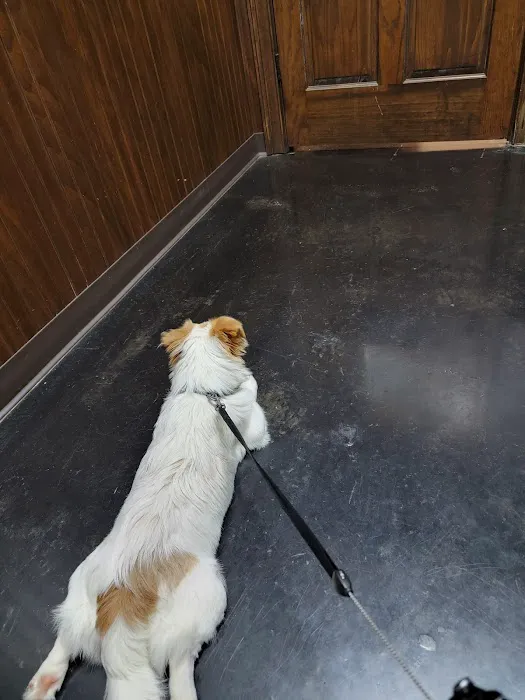 Calhoun Pet Care 3