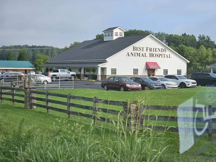 Best Friends Animal Hospital DVM 12