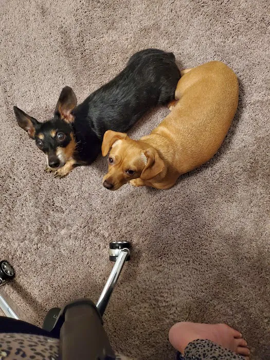Best Friends Animal Hospital DVM 12
