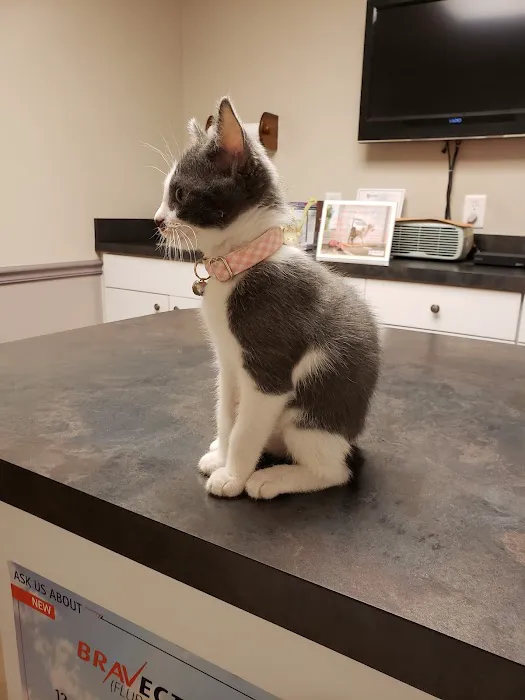 Best Friends Animal Hospital DVM 12