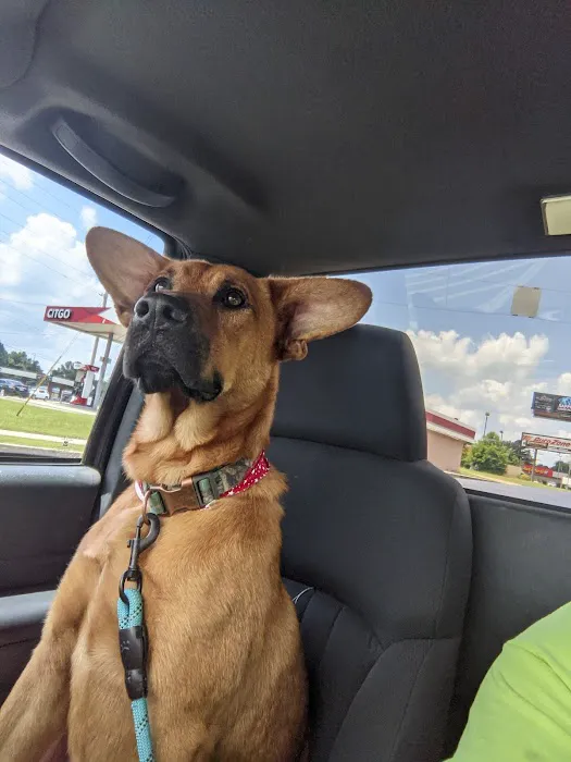 Adairsville Animal Hospital 7