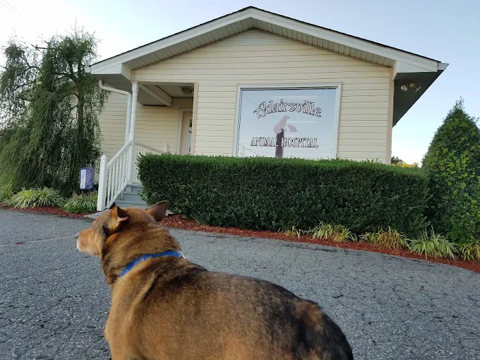 Adairsville Animal Hospital 3