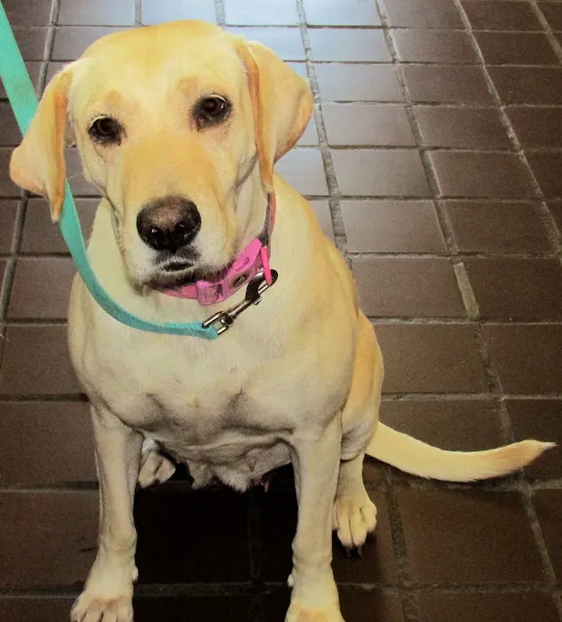 Whatley- Kinney Veterinary Clinic 12