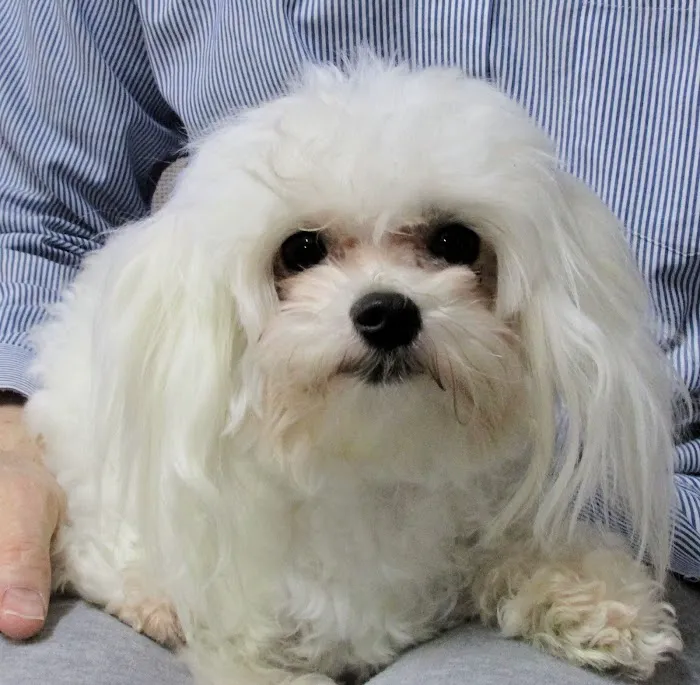 Whatley- Kinney Veterinary Clinic 12