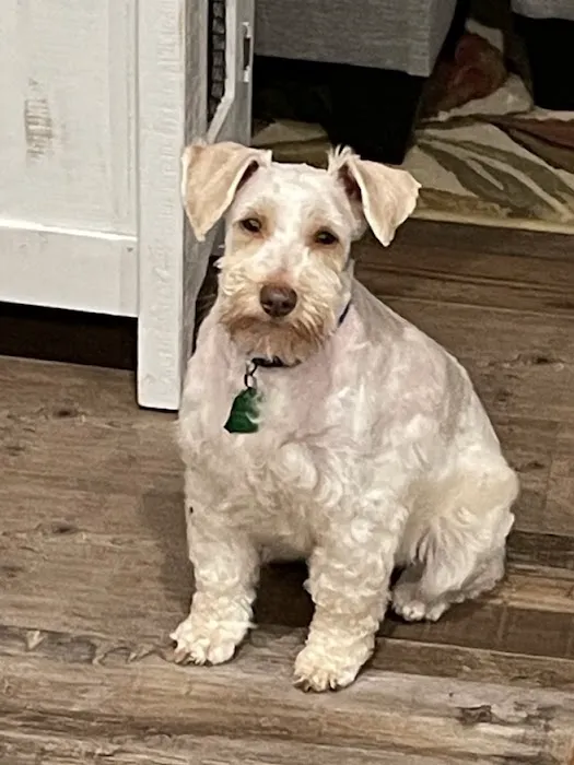 Ellijay Animal Hospital 12