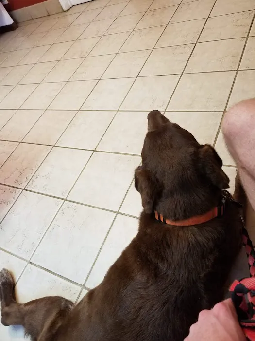 Ellijay Animal Hospital: Redman Jeff DVM 12