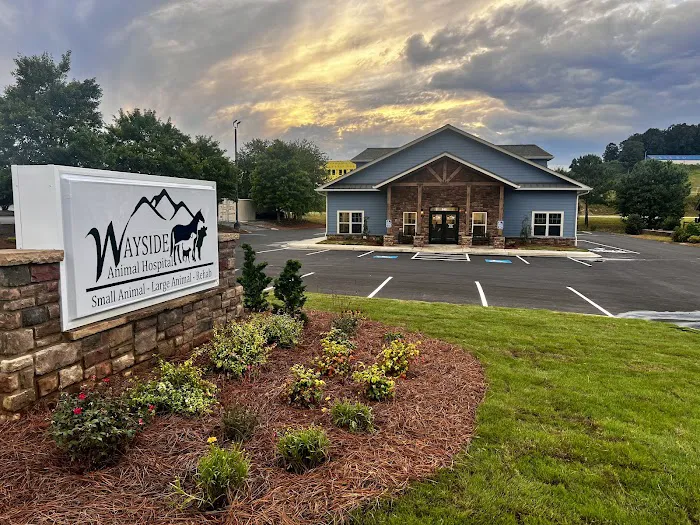 Wayside Animal Hospital @ Ellijay 5