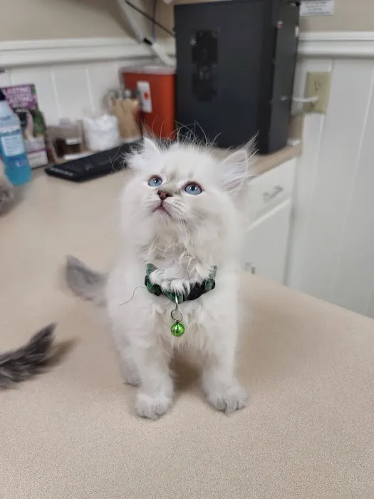 Taylor Animal Hospital 2